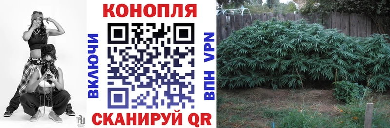 где продают Лебедянь Конопля Ganja